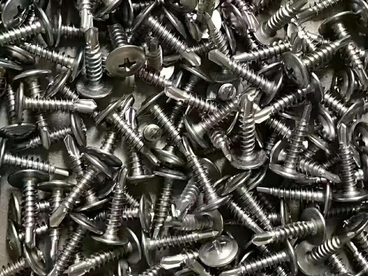 Wafer Head Stainless Steel Self Drilling Screws